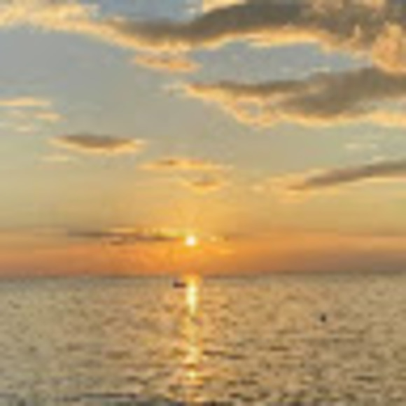 Meet your Posher, Myka - Picture 1 of 1